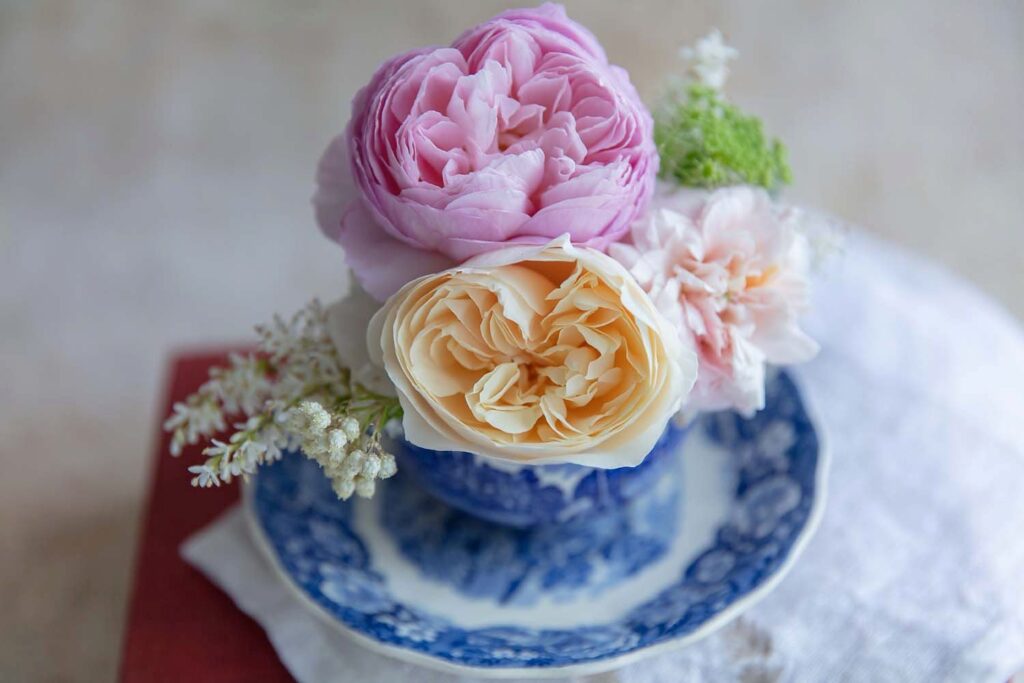 rose photos to buy online